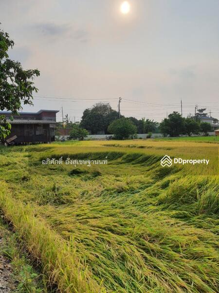 For Sale - Land for Sale at Baan Kluay-Sai Noi Road, Nonthaburi