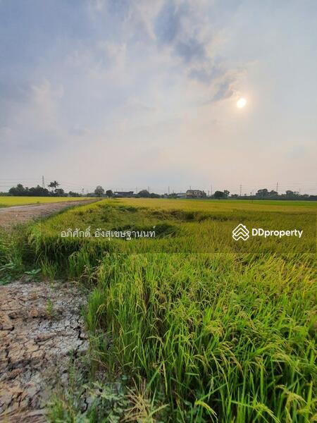 For Sale - Land for Sale at Baan Kluay-Sai Noi Road, Nonthaburi