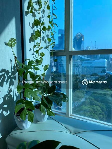 For Rent - The Address Chidlom, Bangkok