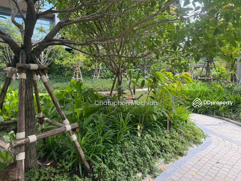For Sale - Whizdom The Forestias, Samut Prakan