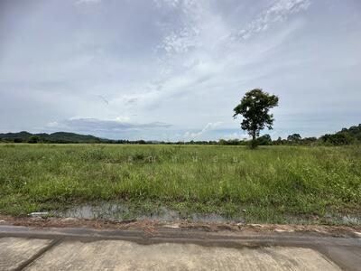 ขาย - ที่ดินติดถนนนครนายก-เขาทุเรียน อำเภอเมือง นครนายกเนื้อที่ 436 ตารางวา, นครนายก