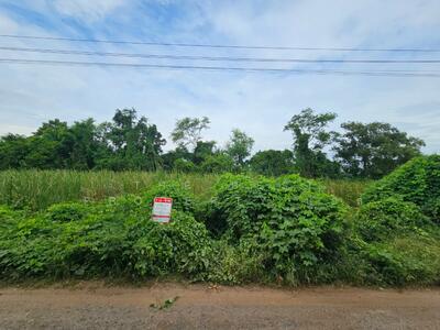 ขาย - ที่ดินหนองจอก กรุงเทพมหานคร, กรุงเทพ