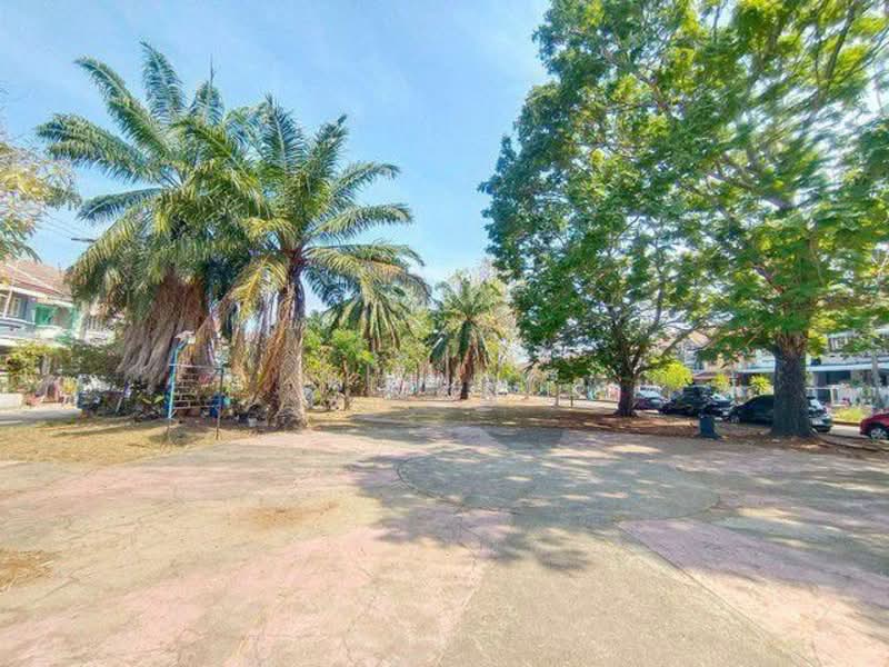 Warangkun Khlong 3 Village : หมู่บ้านวรางกูล คลอง 3, ปทุมธานี, ลำลูกกา, ลำลูกกา, ปทุมธานี, 96 ตร.ม., บ้านเดี่ยว ขาย, โดย นภา, 60156774 - DDproperty.com