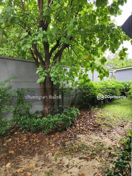 For Rent - Setthasiri Charun-Pinklao, Bangkok