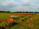 ที่ดินหนองเสือ ปทุมธานี, ปทุมธานี