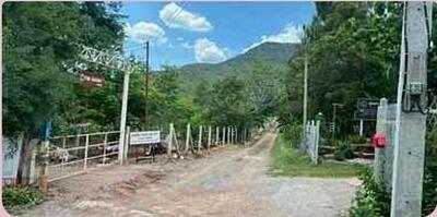 ขาย - ขายที่ดินเนินเขา ติดวังไทรฮิลไซด์ ใกล้พุทธวจน เหมาะสร้างบ้านพักตากอากาศ, นครราชสีมา