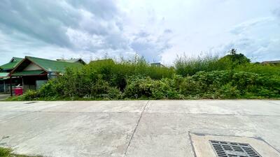 ขาย - ขาย ที่ดิน วัดลาดปลาดุก ถนนเลียบคลองบางไผ่ 622 ตรว., นนทบุรี