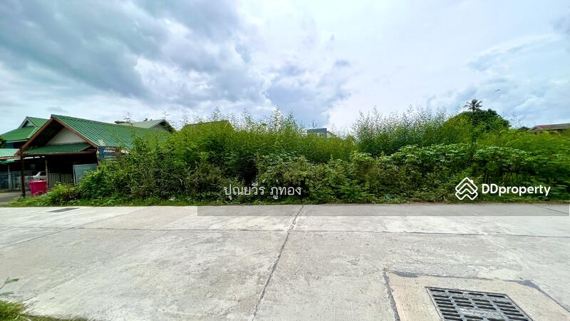 ขายที่ดิน วัดลาดปลาดุก ซอยเลียบคลองบางไผ่ ถนนกาญจนาภิเษก 622 ตรว.