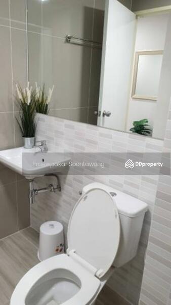 ให้เช่า - Plum Condo Saphanmai Station : พลัมคอนโด สะพานใหม่ สเตชั่น, กรุงเทพ