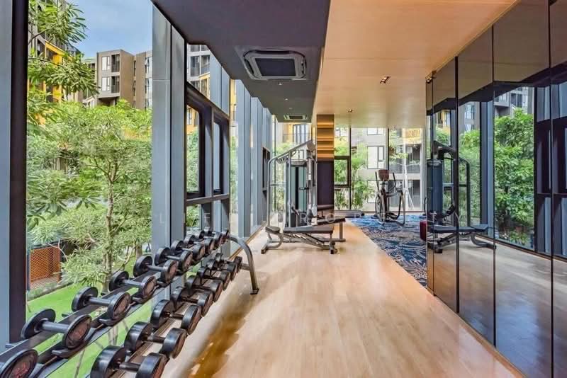 The Base Central, Phuket, Chao Fah Tawan Tok Rd, Wichit, Muang Phuket, Phuket, 1 Bedroom, 27 sqm, Condo For Rent, by PK LIFE Property, 60157261 - DDproperty.com