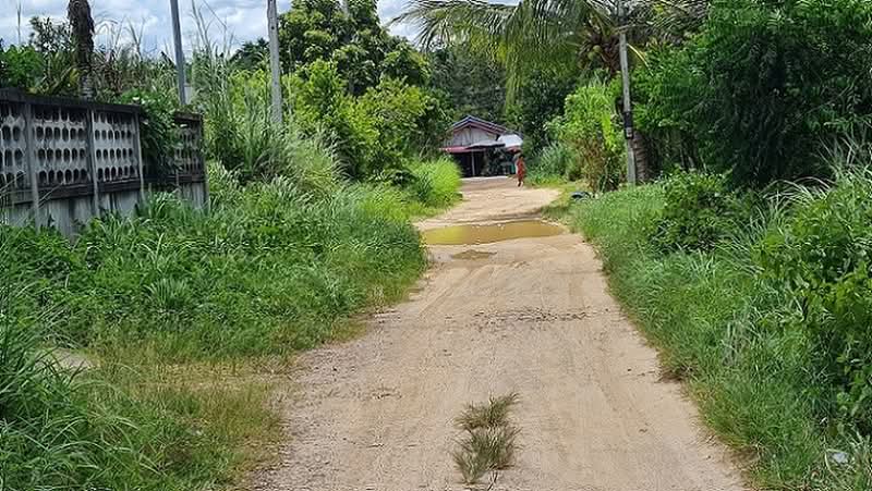 ถนน ทล.ชนบทบ้านควนหมาก-บ้านพรุกง ตำบล วังใหญ่ อำเภอ เทพา จังหวัด สงขลา, สงขลา, 136/2 หมู่ที่ 6 ถนน ทล.ชนบทบ้านควนหมาก-บ้านพรุกง, วังใหญ่, เทพา, สงขลา, 296 ตร.ม., บ้านเดี่ยว ขาย, โดย วันวิสา, 60157340 - DDproperty.com