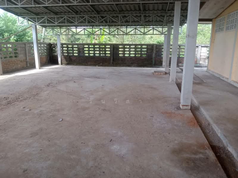 ถนน ทล.ชนบทบ้านควนหมาก-บ้านพรุกง ตำบล วังใหญ่ อำเภอ เทพา จังหวัด สงขลา, สงขลา, 136/2 หมู่ที่ 6 ถนน ทล.ชนบทบ้านควนหมาก-บ้านพรุกง, วังใหญ่, เทพา, สงขลา, 296 ตร.ม., บ้านเดี่ยว ขาย, โดย วันวิสา, 60157340 - DDproperty.com