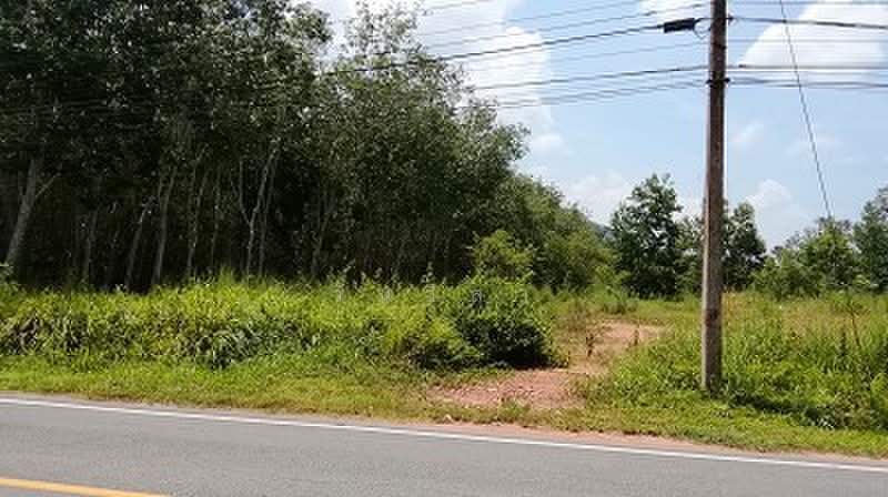 ถนน สายบ้านปากอ-บ้านป่าสน ตำบล วังใหญ่ อำเภอ เทพา จังหวัด สงขลา, Songkhla, หมู่ที่ 4 ถนน สายบ้านปากอ-บ้านป่าสน, Wang Yai, Thepha, Songkhla, , 196 sqm, Land For Sale, by วันวิสา, 60157367 - DDproperty.com