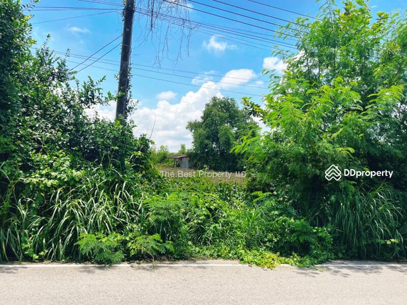 For Sale - ที่ดินมโนรมย์ ชัยนาท, Chai Nat
