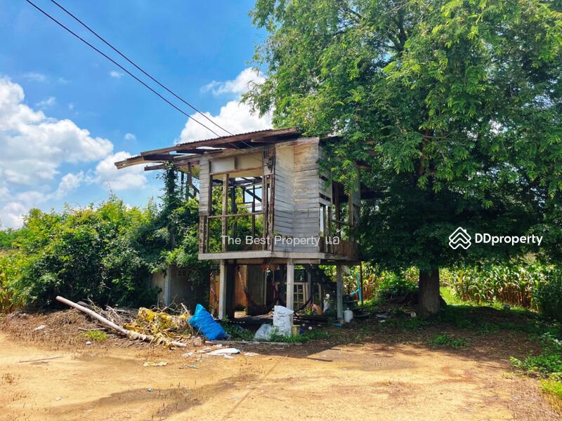 For Sale - ที่ดินมโนรมย์ ชัยนาท, Chai Nat