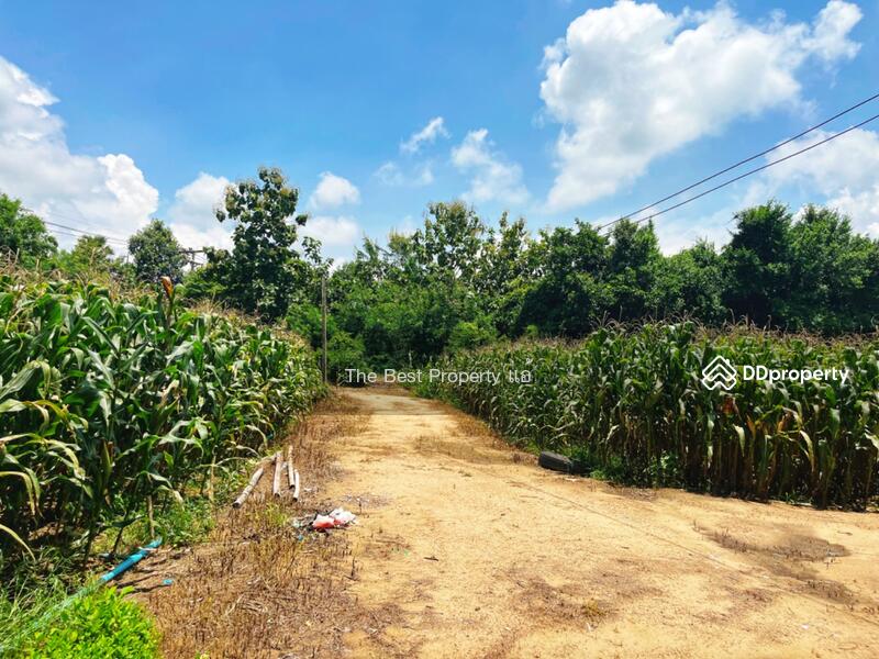 For Sale - ที่ดินมโนรมย์ ชัยนาท, Chai Nat