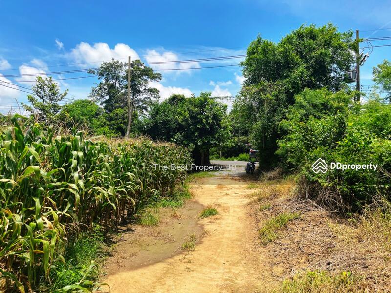 For Sale - ที่ดินมโนรมย์ ชัยนาท, Chai Nat