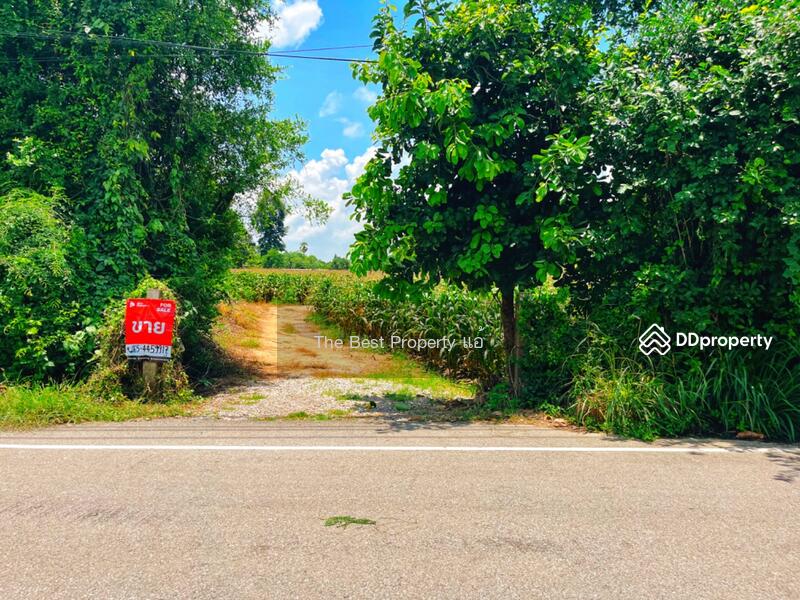 For Sale - ที่ดินมโนรมย์ ชัยนาท, Chai Nat