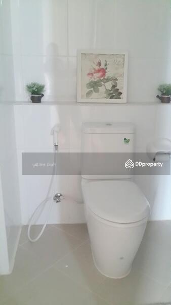 ให้เช่า - My Hip Condo : มาย ฮิป คอนโด, เชียงใหม่