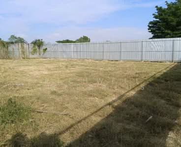 ขาย - ขายที่ดินพลา 100 ตรว.ถมแล้วเทศบาล6ซอย13 หลังสนามกอล์ฟอีสเทิร์นสตาร์ ใกล้หาดพลา-3กม. อ.บ้านฉาง, ระยอง