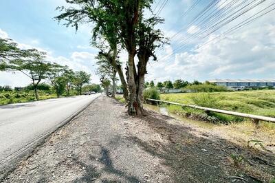 ขาย - ขายที่ดินเปล่า 17ไร่ 274ตร.วา ถนนผดุงพันธ์ หนองจอก เหมาะสร้างหมู่บ้านจัดสรร โกดัง, กรุงเทพ