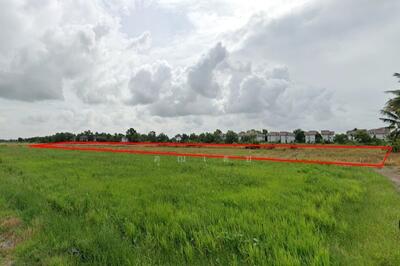 ขาย - ขายที่ดิน ถมแล้ว 6 ไร่ 393 ตร.วา ถนนผดุงพันธ์ เขตหนองจอก, กรุงเทพ