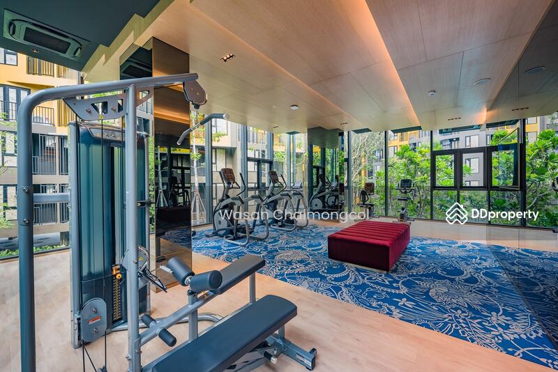 For Sale - The Base Central, Phuket
