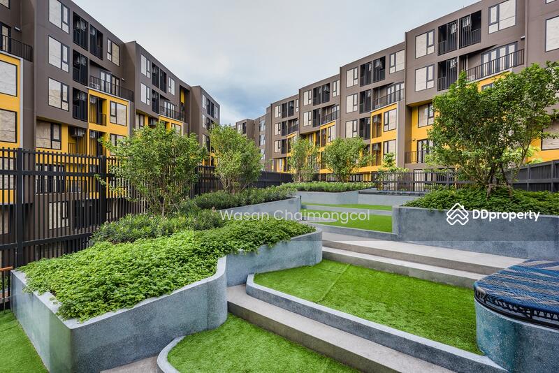For Sale - The Base Central, Phuket