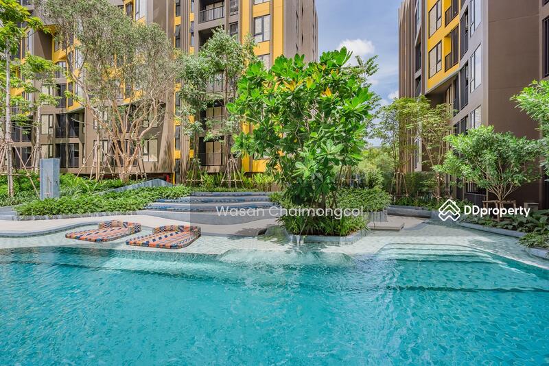 For Sale - The Base Central, Phuket