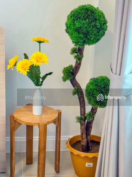 For Rent - Diya Valley Hangdong, Chiang Mai