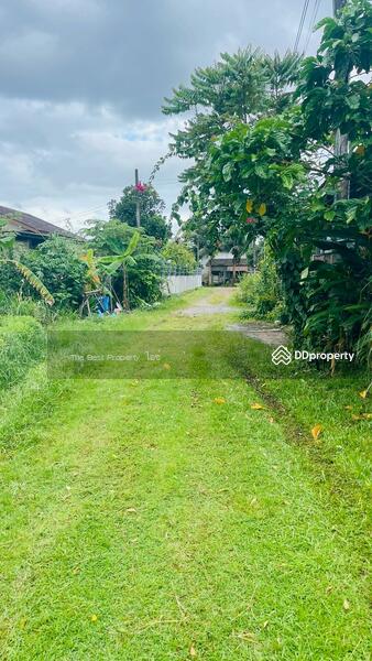 ขาย - บ้านเดี่ยวพร้อมที่ดินพลับพลา จันทบุรี, จันทบุรี