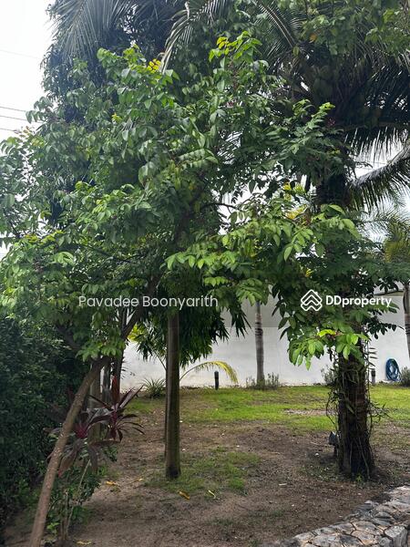 For Rent - La Lua Resort and Residence, Prachuap Khiri Khan