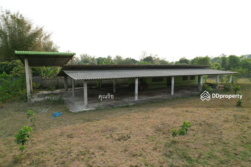 For Rent - ทำเลค้าขายได้ตลอด! แปลงใหญ่สุดท้ายติดถนนแม่จัน-ฝาง ตำบลแม่สาว!! ปล่อยเช่าที่ดิน 4-1-36.2 ไร่, Chiang Mai