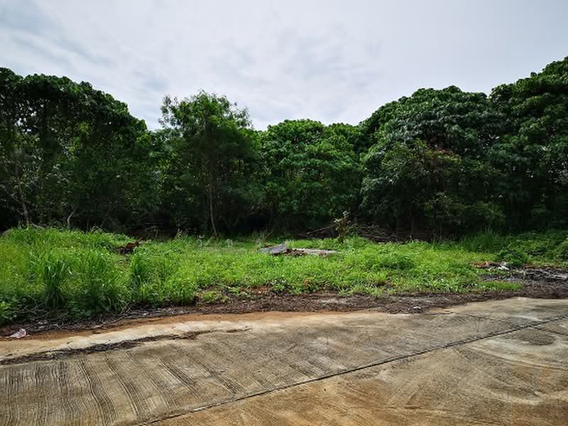 ที่ดิน อำเภออ่าวลึก จังหวัดกระบี่, Krabi, อ่าวลึก-แหลมสัก, Ao Luk Tai, Ao Luk, Krabi, , 2,280 sqm, Land For Sale, by วัชรพงษ์, 60158937 - DDproperty.com