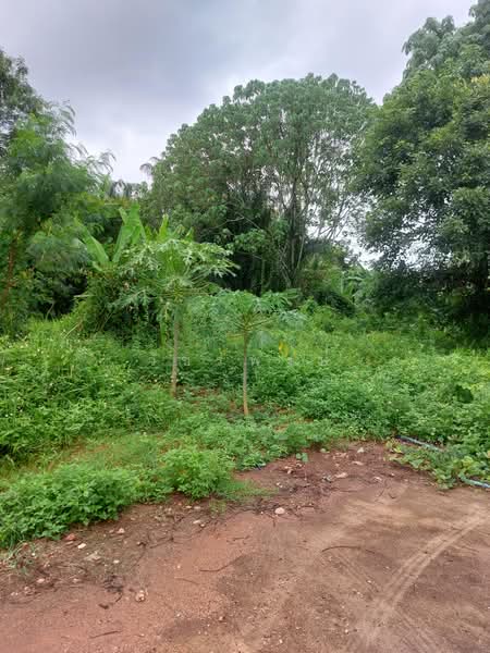 ที่ดิน อำเภออ่าวลึก จังหวัดกระบี่, Krabi, อ่าวลึก-แหลมสัก, Ao Luk Tai, Ao Luk, Krabi, , 2,280 sqm, Land For Sale, by วัชรพงษ์, 60158937 - DDproperty.com