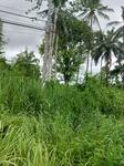 ที่ดิน อำเภออ่าวลึก จังหวัดกระบี่, กระบี่