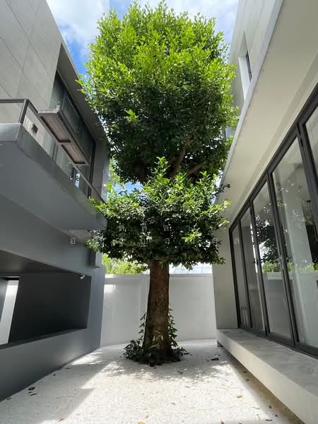Neo-City Donmuang, Bangkok, Soi Nawong Pracha Phatthana 13, Si Khan, Don Mueang, Bangkok, 3 Bedrooms, 240 sqm, Single Detached House For Rent, by สลิลา อภิญญาณกุล, 60159241 - DDproperty.com
