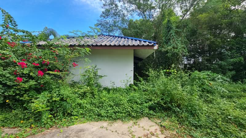 ถนน หนองขวน 2 ตำบล ท่าช้าง อำเภอ บางกล่ำ จังหวัด สงขลา, Songkhla, หมู่ที่ 5 ถนน หนองขวน 2, Tha Chang, Bang Klam, Songkhla, , 281 sqm, Business For Sale, by วันวิสา, 60159269 - DDproperty.com