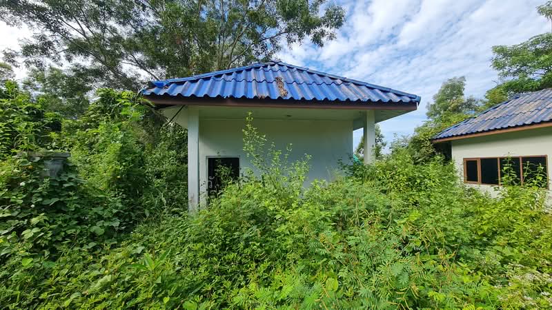 ถนน หนองขวน 2 ตำบล ท่าช้าง อำเภอ บางกล่ำ จังหวัด สงขลา, Songkhla, หมู่ที่ 5 ถนน หนองขวน 2, Tha Chang, Bang Klam, Songkhla, , 281 sqm, Business For Sale, by วันวิสา, 60159269 - DDproperty.com