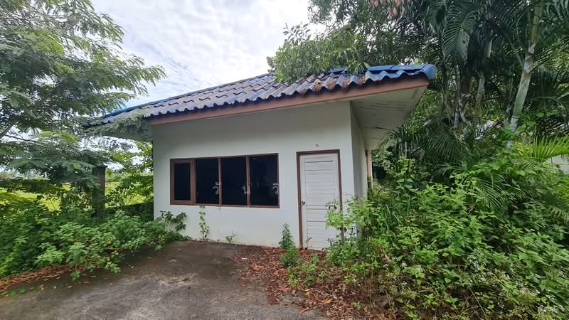 ถนน หนองขวน 2 ตำบล ท่าช้าง อำเภอ บางกล่ำ จังหวัด สงขลา, สงขลา, หมู่ที่ 5 ถนน หนองขวน 2, ท่าช้าง, บางกล่ำ, สงขลา, 281 ตร.ม., กิจการ ขาย, โดย วันวิสา, 60159269 - DDproperty.com