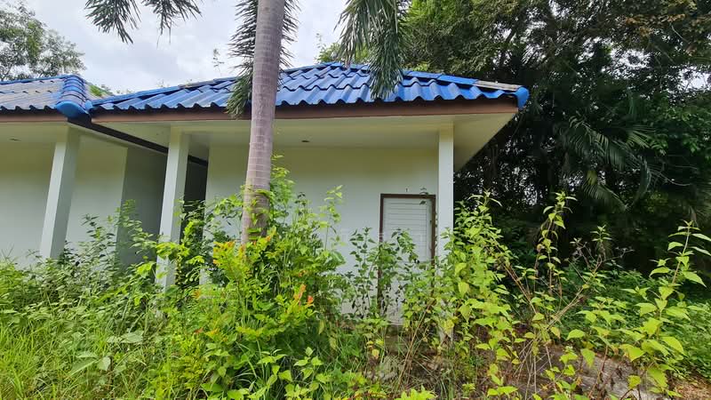 ถนน หนองขวน 2 ตำบล ท่าช้าง อำเภอ บางกล่ำ จังหวัด สงขลา, สงขลา, หมู่ที่ 5 ถนน หนองขวน 2, ท่าช้าง, บางกล่ำ, สงขลา, 281 ตร.ม., กิจการ ขาย, โดย วันวิสา, 60159269 - DDproperty.com