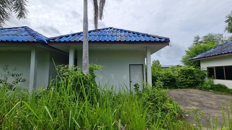ถนน หนองขวน 2 ตำบล ท่าช้าง อำเภอ บางกล่ำ จังหวัด สงขลา, สงขลา, หมู่ที่ 5 ถนน หนองขวน 2, ท่าช้าง, บางกล่ำ, สงขลา, 281 ตร.ม., กิจการ ขาย, โดย วันวิสา, 60159269 - DDproperty.com