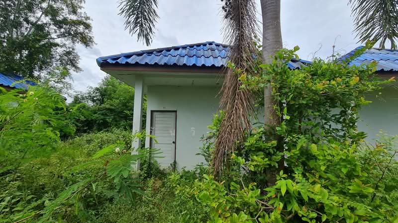ถนน หนองขวน 2 ตำบล ท่าช้าง อำเภอ บางกล่ำ จังหวัด สงขลา, Songkhla, หมู่ที่ 5 ถนน หนองขวน 2, Tha Chang, Bang Klam, Songkhla, , 281 sqm, Business For Sale, by วันวิสา, 60159269 - DDproperty.com