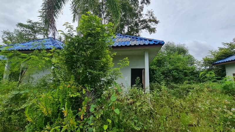 ถนน หนองขวน 2 ตำบล ท่าช้าง อำเภอ บางกล่ำ จังหวัด สงขลา, สงขลา, หมู่ที่ 5 ถนน หนองขวน 2, ท่าช้าง, บางกล่ำ, สงขลา, 281 ตร.ม., กิจการ ขาย, โดย วันวิสา, 60159269 - DDproperty.com