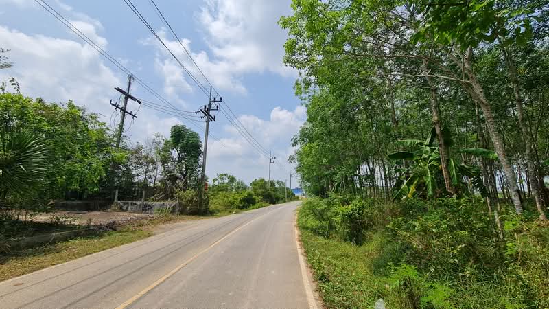 ถนน หนองขวน 2 ตำบล ท่าช้าง อำเภอ บางกล่ำ จังหวัด สงขลา, สงขลา, หมู่ที่ 5 ถนน หนองขวน 2, ท่าช้าง, บางกล่ำ, สงขลา, 281 ตร.ม., กิจการ ขาย, โดย วันวิสา, 60159269 - DDproperty.com