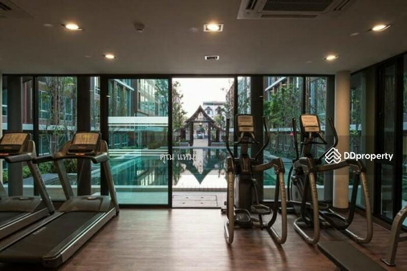 For Rent - D Vieng Santitham, Chiang Mai