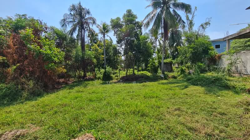 ตำบล เกาะแต้ว อำเภอ เมืองสงขลา จังหวัด สงขลา, Songkhla, Ko Taeo, Muang Songkhla, Songkhla, , 7,136 sqm, Land For Sale, by วันวิสา, 60159303 - DDproperty.com