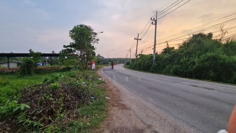 หมู่บ้าน/โครงการ บ้านคลองรำ, สงขลา, 187 หมู่ที่ 4 ถนน คลองแงะ-ปาดังเบซาร์, ทุ่งหมอ, สะเดา, สงขลา, 401 ตร.ม., บ้านเดี่ยว ขาย, โดย วันวิสา, 60159317 - DDproperty.com