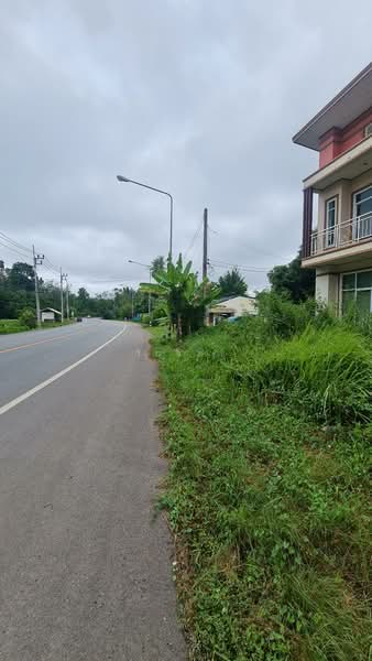 ถนน คลองแงะ-ปาดังเบซาร์ ตำบล ทุ่งหมอ อำเภอ สะเดา จังหวัด สงขลา, สงขลา, 41/9 หมู่ที่ 7 ถนน คลองแงะ-ปาดังเบซาร์, ทุ่งหมอ, สะเดา, สงขลา, 550 ตร.ม., บ้านเดี่ยว ขาย, โดย วันวิสา, 60159328 - DDproperty.com