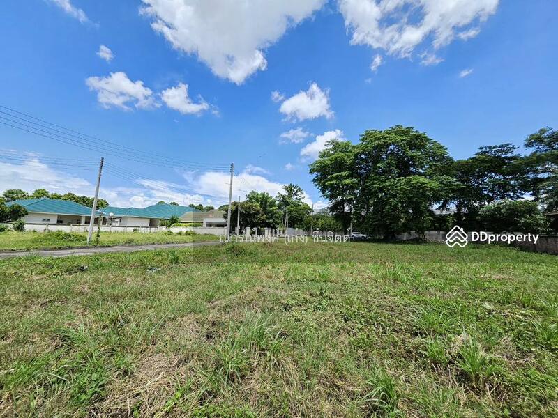 ขาย - Fah Luang Village : บ้านฟ้าหลวง, เชียงใหม่